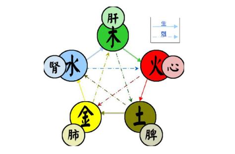 金 水 五行|五行（对万事万物的取象比类）